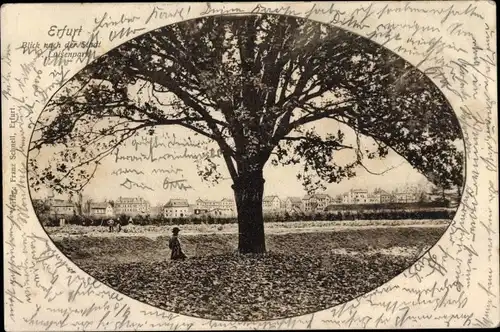 Passepartout Ak Erfurt in Thüringen, Blick nach der Stadt vom Luisenpark aus, Baum