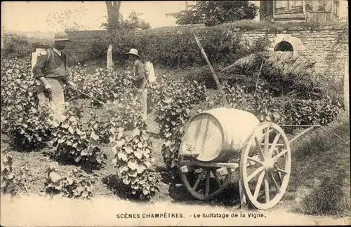 Ak Frankreich, Scenes Champetres, le Sulfatage de la Vigne