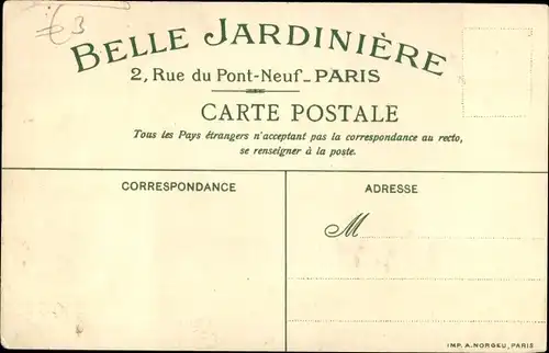Litho Le Riz, Souvenir de la Belle Jardiniere, Rue du Pont Neuf, Paris