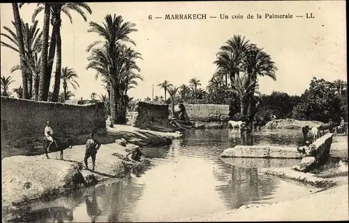 Ak Marrakesch Marokko, Un coin de la Palmeraie