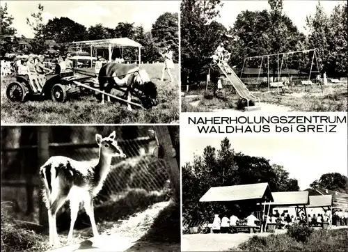 Ak Greiz im Vogtland, HO Gaststätte Waldhaus, Spielplatz, Ponywagen