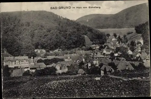 Ak Bad Grund im Harz, Panorama vom Eichelberg aus