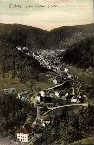 Ak Triberg im Schwarzwald, Blick vom Hohnen