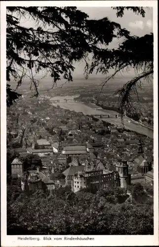 Ak Heidelberg am Neckar, Blick vom Rindenhäuschen