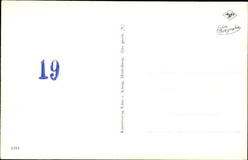 Ak Heidelberg am Neckar, Blick vom Rindenhäuschen