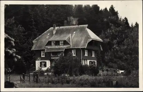 Ak Hinterzarten im Schwarzwald, Haus Quickborn