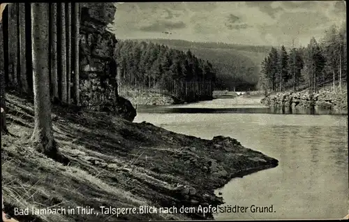Ak Tambach Dietharz in Thüringen, Talsperre, Blick nach dem Apfelstädter Grund