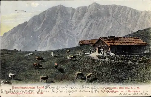 Ak Berchtesgaden in Oberbayern, Gotzenalpe, Watzmann, Kühe