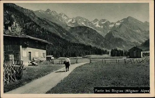 Ak Birgsau Oberstdorf im Oberallgäu, Mädelegabelgruppe, Wilder Mann, Linkerskopf