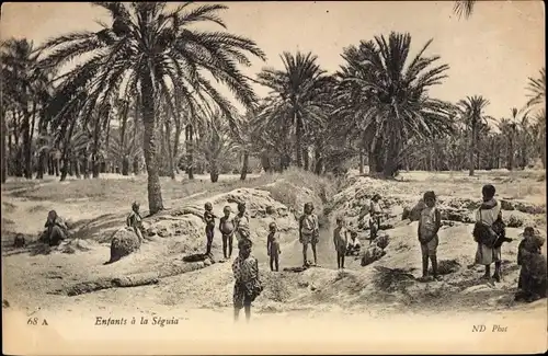 Ak Enfants a la Seguia, Kinder, Maghreb, Palmen