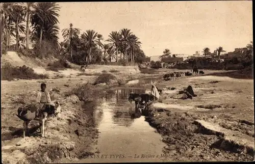 Ak Scenes et Types, Riviere, Maghreb, Esel