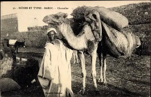 Ak Marokko, Scenes et Types, Chamelier, Mann mit Kamel, Maghreb