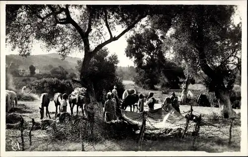 Foto Ak Marokko, Spahis au Bivouac, Franz. Kolonialkrieger, Zeltlager