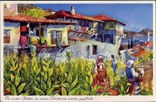 Künstler Ak Melnik Bulgarien, Tabakernte, Bauern, Häuser, Balkone