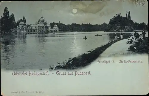 Mondschein Ak Budapest Ungarn, Stadtwäldchenteich