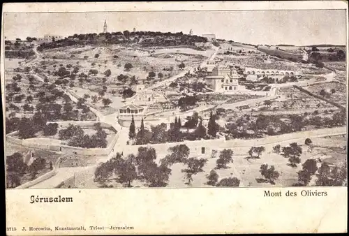 Ak Jerusalem Israel, Mont des Oliviers