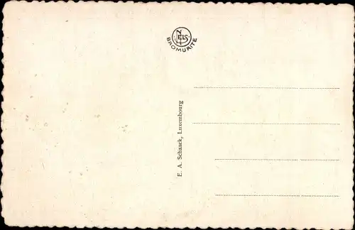 Ak Echternach Luxemburg, Panorama