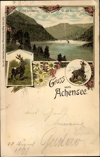 Litho Achensee in Tirol, Blick auf den See, Ziege, Hirsch, Blick v. Scholastika