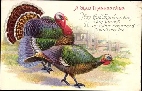 Ak Thanksgiving, Truthahn und Pute