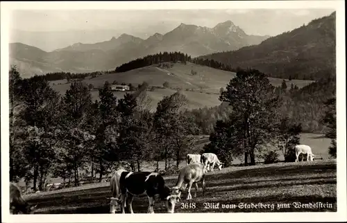 Ak Stadelberg Stadlberg Miesbach in Oberbayern, Wendelstein