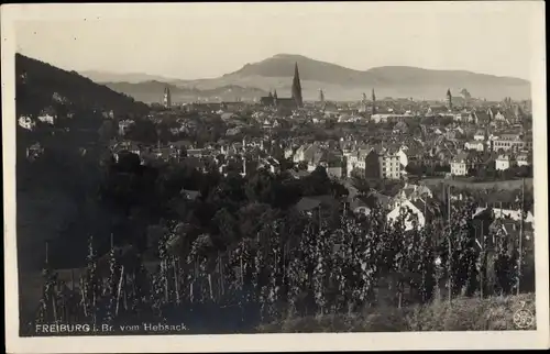Ak Freiburg im Breisgau, Gesamtansicht, Blick vom Hebsack