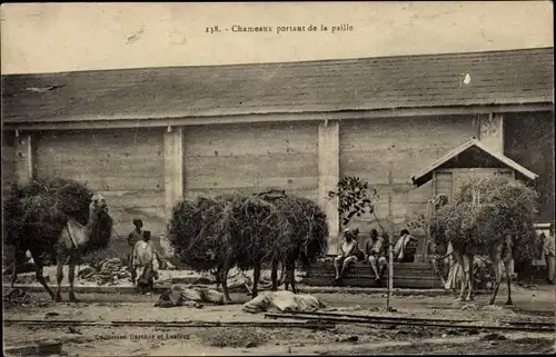 Ak Chameaux portant de la paille, Stroh tragende Kamele