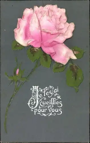 Material Ak Je les ai cueillies pour vous, Rose