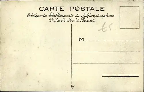 Künstler Ak Le Sulfurophosphate de Chaux, Engel düngen ein Feld, Reklame