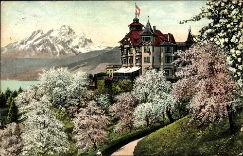 Ak Weggis Kanton Luzern, Hotel Alpenblick, Pilatus