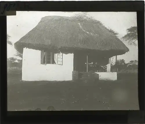 Glas Positiv Deutsch Ostafrika um 1913, Provisorisches Pflanzerhäuschen, Lehmfachwerk mit Grasdach