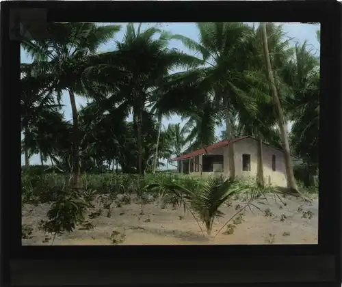 Glas Positiv Deutsch-Ost-Afrika um 1913, Pflanzerhaus inmitten einer Kokospflanzung, Daressalam