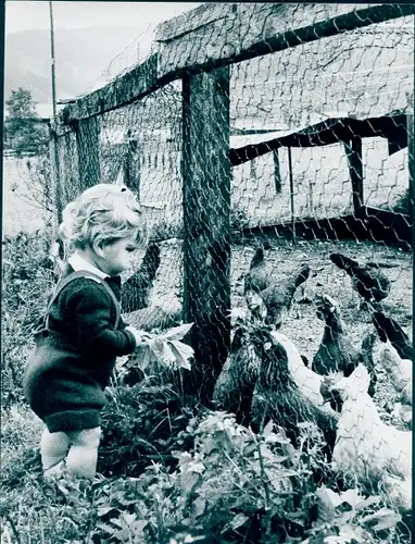 Foto Kleine Geschenke erhalten die Freundschaft, Kleinkind füttert Hühner am Zaun