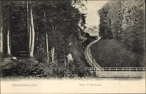 Ak Gremsmühlen Malente in Ostholstein, Partie im Steinbusch