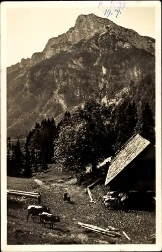 Ak Bad Reichenhall in Oberbayern, Steineralm