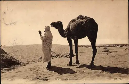 Ak La Priere du Chamelier, Maghreb, Gebet, Kamel, Wüste