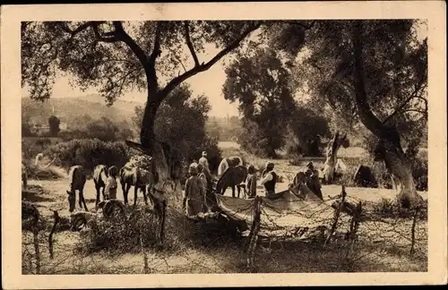 Ak Marokko, La Guerre au Maroc, Spahis au Bivouac, Franz. Kolonialkrieger, Zeltlager