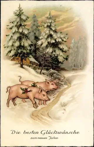 Ak Glückwunsch Neujahr, Schweine, Stechpalme, Tannenbäume
