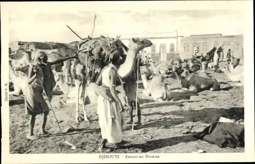 Ak Djibouti Dschibuti, Retour en Brousse, Kamele
