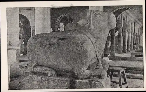 Ak Indien, Nandi Near well of Knowledge