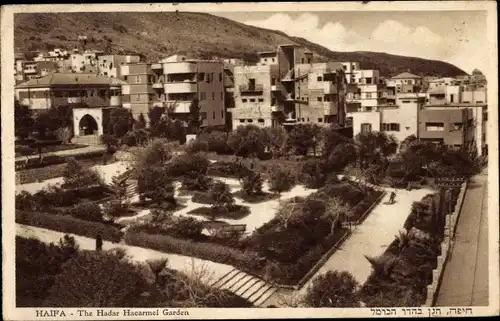 Ak Haifa Israel, The Hadar Hacarmel Garden