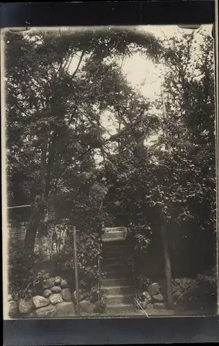 Foto Ak Celle in Niedersachsen, Berggarten