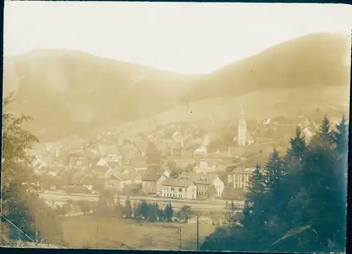 Foto Lautenthal Langelsheim im Oberharz, Blick auf den Ort, um 1920
