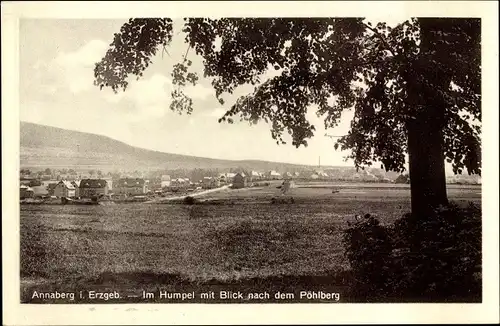 Ak Annaberg Buchholz im Erzgebirge, Im Humpel mit Blick nach dem Pöhlberg