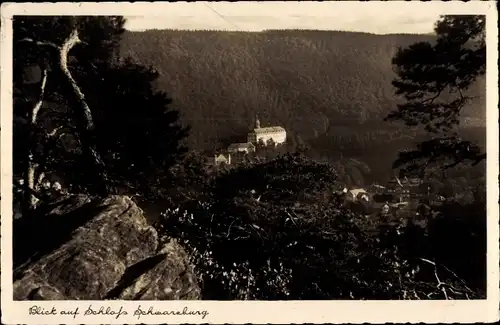 Ak Schwarzburg in Thüringen, Blick auf Schloß Schwarzburg