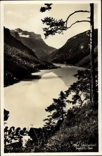 Ak Bad Reichenhall in Oberbayern, Saalachsee