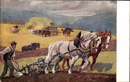 Künstler Ak Meinholds Tierbild Nr. 1a, Arbeitspferd, Bauern bei der Feldarbeit, Pferde ziehen Pflug