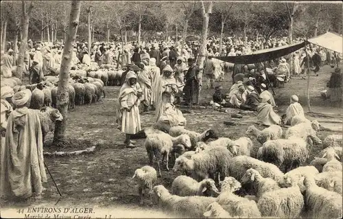 Ak Algerien, Marche de Maison Carree, Schafmarkt, Nomaden