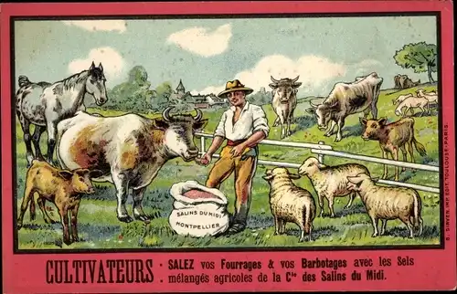 Ak Bauer mit Tieren, Kühe, Schafe, Cultivateurs, Salez vos Fourrages & vos Barbotages, Werbung