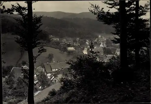 Foto Bad Grund im Harz, Talblick, um 1920