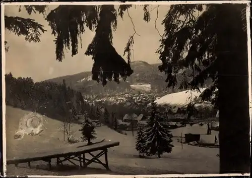 Foto Bad Grund im Harz, Winteransicht, um 1920